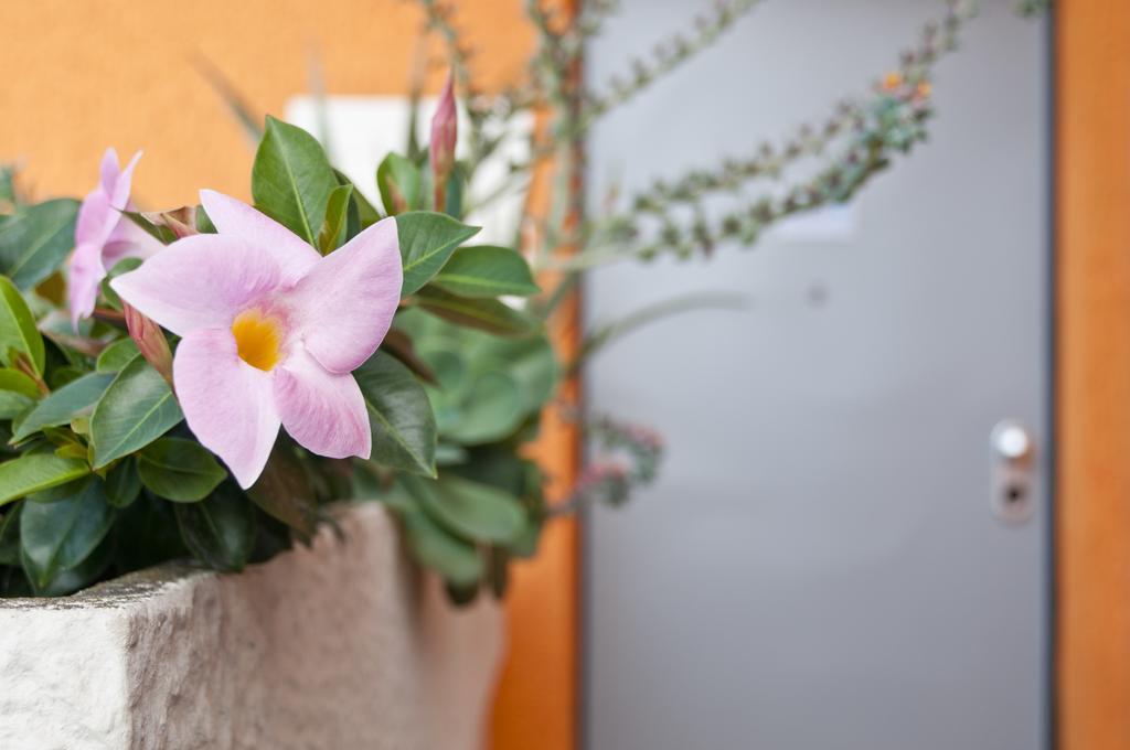 Bed & Breakfast Al Volo